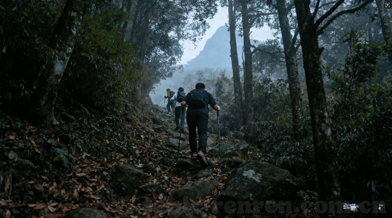 乐鱼体育平台大巴黎的赞助商-科技与体育的华丽碰撞，乐鱼体育平台与大巴黎的携手并进
